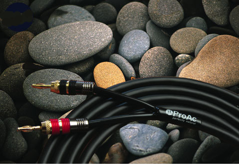 ProAc Response Signature Black Cable